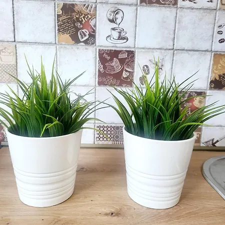 Mocha House 2-bedroom Netflix Speedy Wifi * Kaunas
