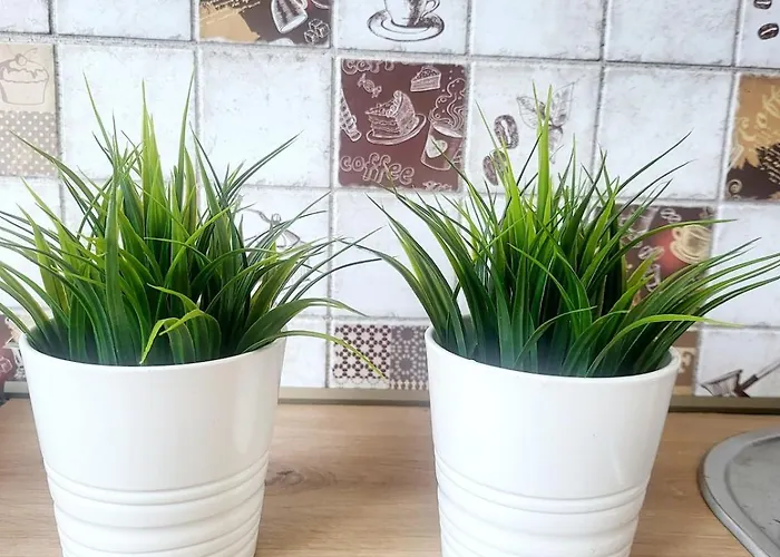 Mocha House 2-bedroom Netflix Speedy Wifi * Kaunas